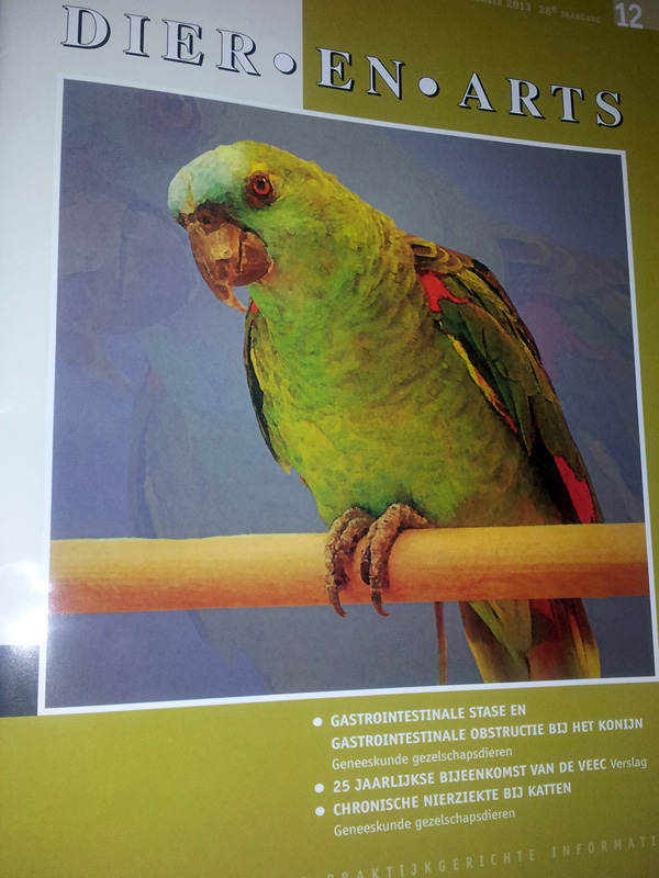Dier en Arts magazine december 2013